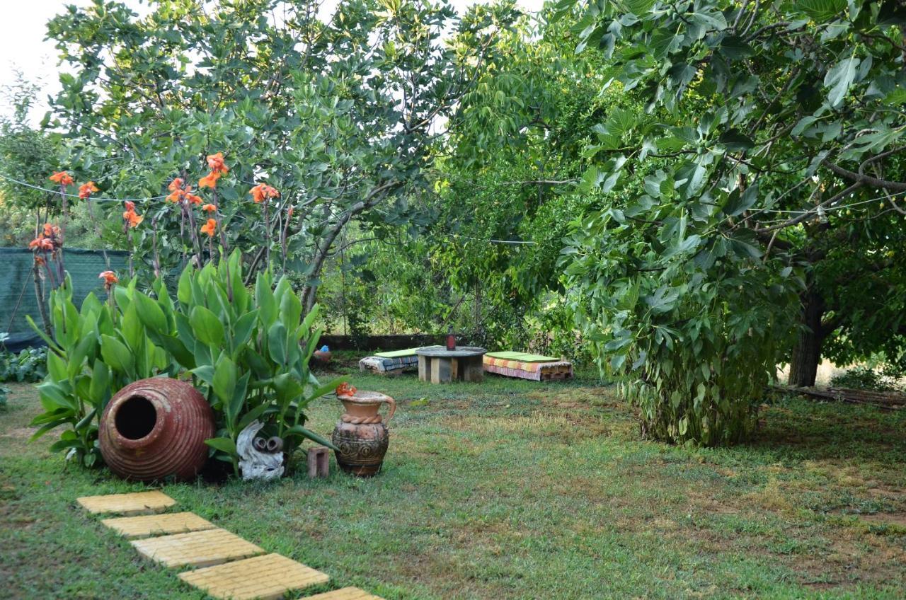 Doloi Garden House Villa Malta Ngoại thất bức ảnh